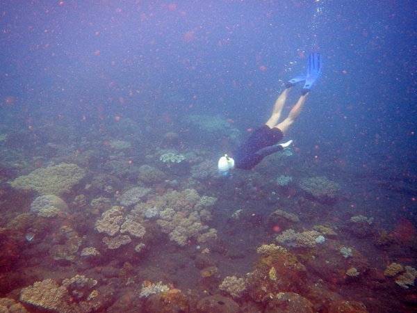 Cape Gulah Bali image 8